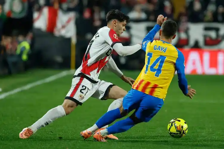 雨燕直播免费观看